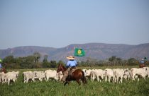 Material Dia de Campo ILPI Carpa Serrana - fotao