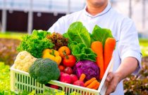 Foodtechs e agtechs brasileiras captaram mais de US$ 755 mi em 2022