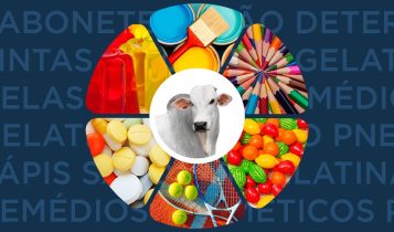Coprodutos da carne bovina.