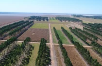 propriedades rurais