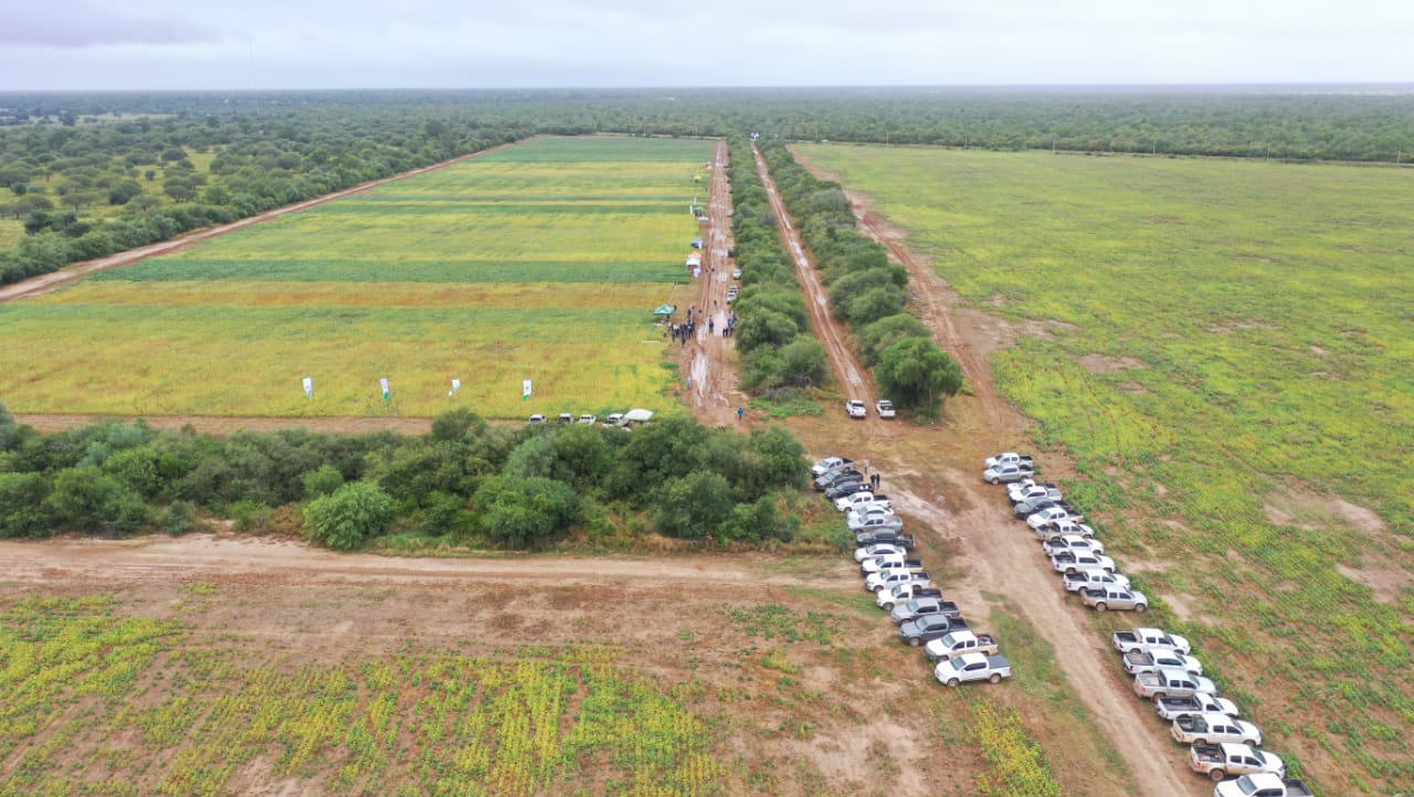 A regi o de Alto Paraguai pode ser nova fronteira agr cola da