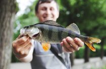 peixe