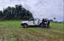 Fiscais embargam 245 hectares e multam em mais de R$ 2,7 milhões