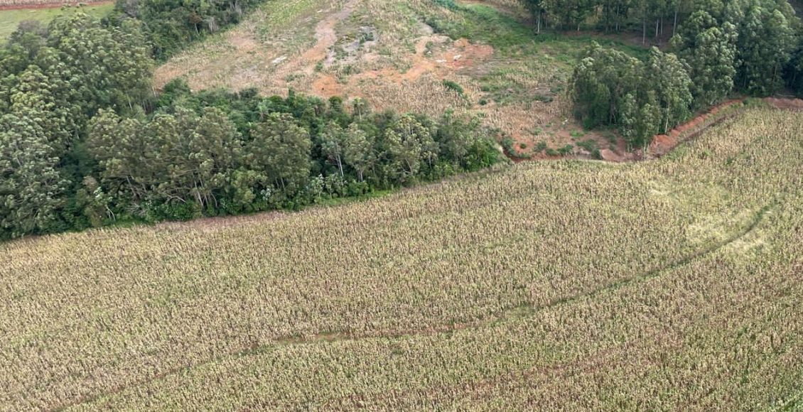 STJ decide: recuperação ambiental pode afastar indenização por dano - entenda como isso impacta o produtor rural