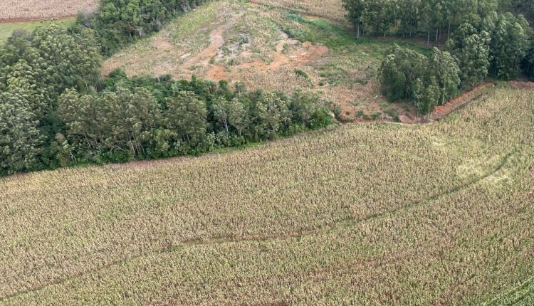 STJ decide: recuperação ambiental pode afastar indenização por dano - entenda como isso impacta o produtor rural