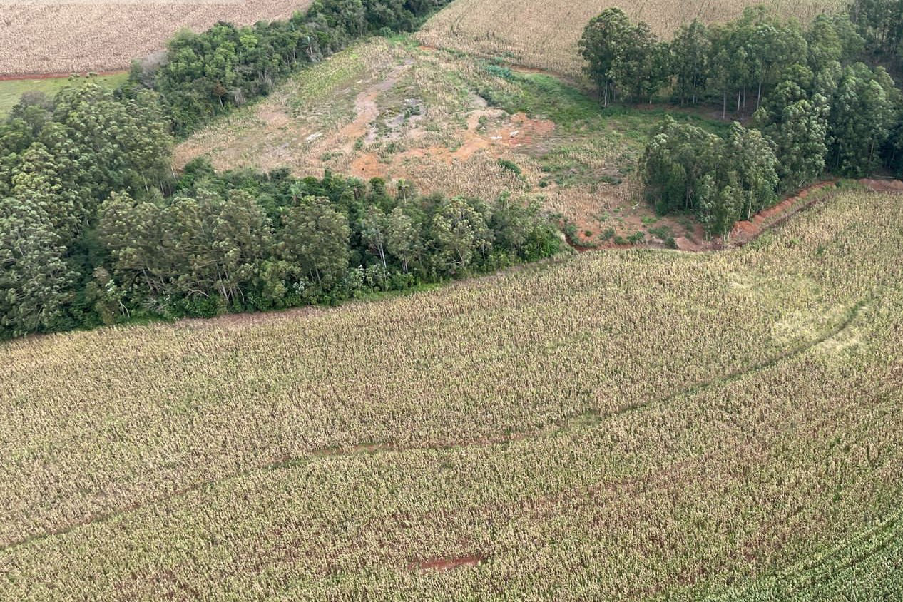 STJ decide: recuperação ambiental pode afastar indenização por dano - entenda como isso impacta o produtor rural