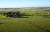 seguro rural
