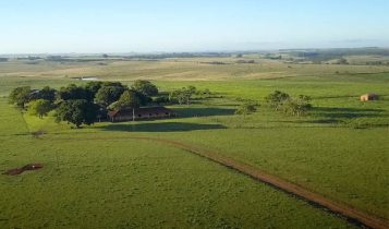 seguro rural