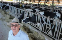 Paraná: produtor consegue se reerguer após tornado