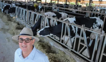 Paraná: produtor consegue se reerguer após tornado