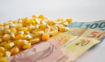 grãos