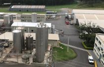 Gigante do leite decreta falência e assusta mercado; Veja quem é