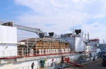 Cerca de 3.600 bois vivos embarcam no navio para Turquia