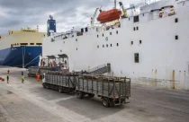 Gigantes do boi vão embarcar centenas de bovinos em navio; Confira