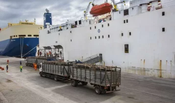 Exportação de gado vivo dispara e Brasil pode embarcar 1,5 milhão de cabeças em 2025