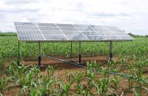 Tecnologia de bombeamento solar impulsiona a produção agrícola
