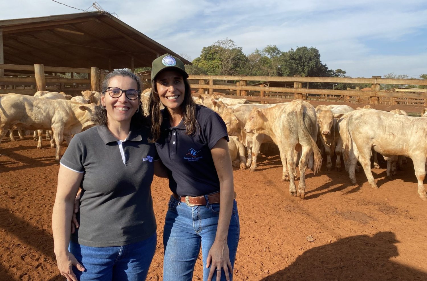 prova de avaliacao de desempenho do canchim 2023 - cintia marcondes - embrapa e roberta canezin iz