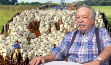 Rei do Gado faz uma escolha ousada e muda o rumo da pecuária no Brasil