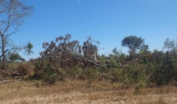 Sema embarga fazenda de 970 hectares e multa em quase R$ 1 milhão