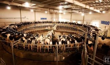 maior fazenda leiteira do país