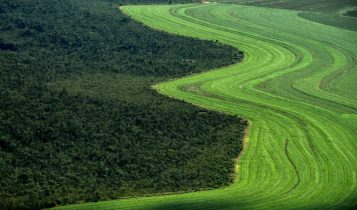 Ferramenta analisa possibilidade de desmatamento em 92.000 fazendas de soja
