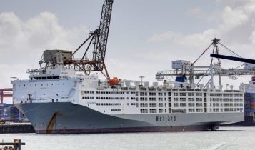 Gigante brasileiro embarca 21.084 bovinos em mega navio boiadeiro; Vídeo