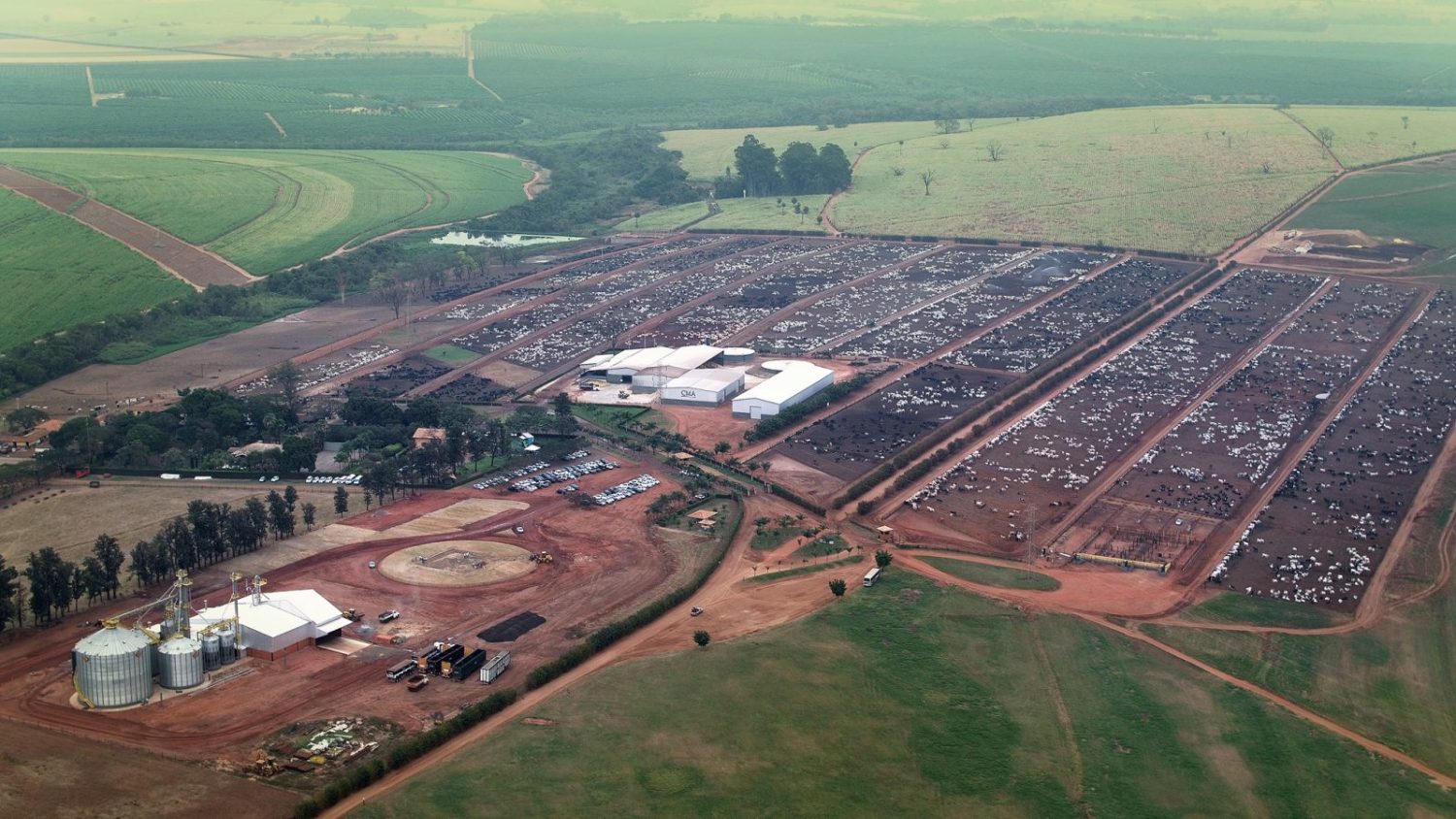 Confinamento Monte Alegre