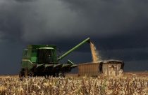 Colheita com chuva se aproximando