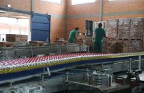 Onze cooperativas paranaenses ligadas ao setor agroindustrial figuram entre as maiores do mundo