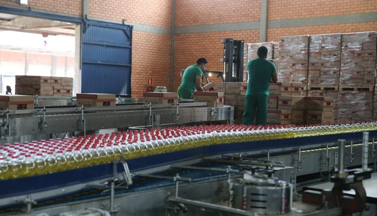 Onze cooperativas paranaenses ligadas ao setor agroindustrial figuram entre as maiores do mundo