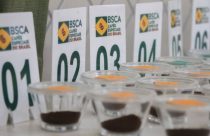BSCA abre inscrições ao principal concurso de qualidade para café no mundo
