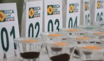 BSCA abre inscrições ao principal concurso de qualidade para café no mundo