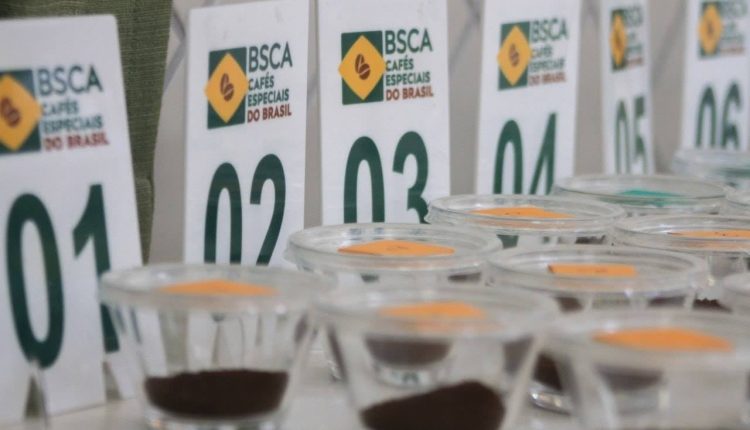 BSCA abre inscrições ao principal concurso de qualidade para café no mundo