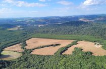 Fiscalização ambiental por satélite e embargos de área