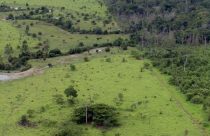 invasão de terras