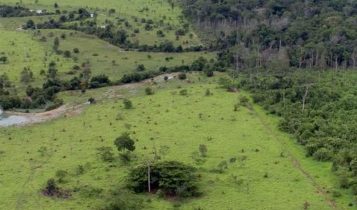 invasão de terras