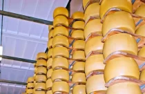 O armazém em Romano di Lombardia, próximo a Bergamo, continha cerca de 25 mil rodas de Grana Padano, cada uma pesando em torno de 40 quilos
