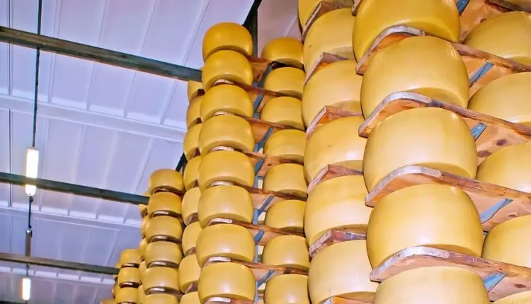 O armazém em Romano di Lombardia, próximo a Bergamo, continha cerca de 25 mil rodas de Grana Padano, cada uma pesando em torno de 40 quilos