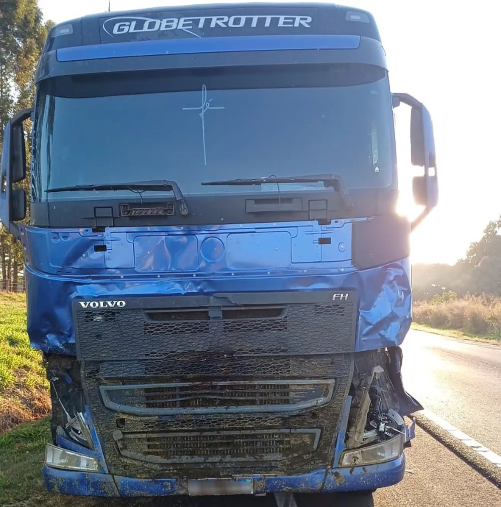 Acidente envolvendo caminhão e van mata oito cavalos no interior de SP