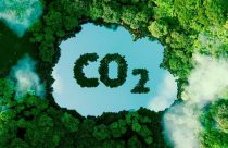 Brasil lança 1ª bolsa de Crédito de Carbono do mundo, e deve movimentar R$ 12 bilhões
