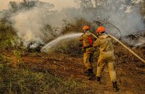 Lavouras são tomadas por incêndio e deixam prejuízo milionário