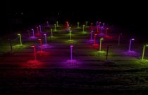 Eficiência e produtividade são objetivos de pesquisa com luminária LED para cultivo de flores