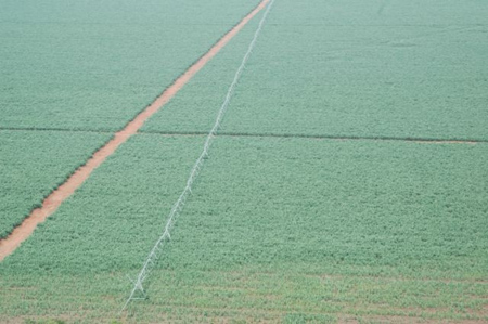 Em área de 530 ha, o maior pivô central do Brasil inaugurou um novo conceito de irrigação