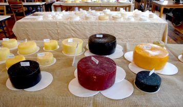 Expoqueijo Brasil bate recorde e 410 produtores vão participar do concurso