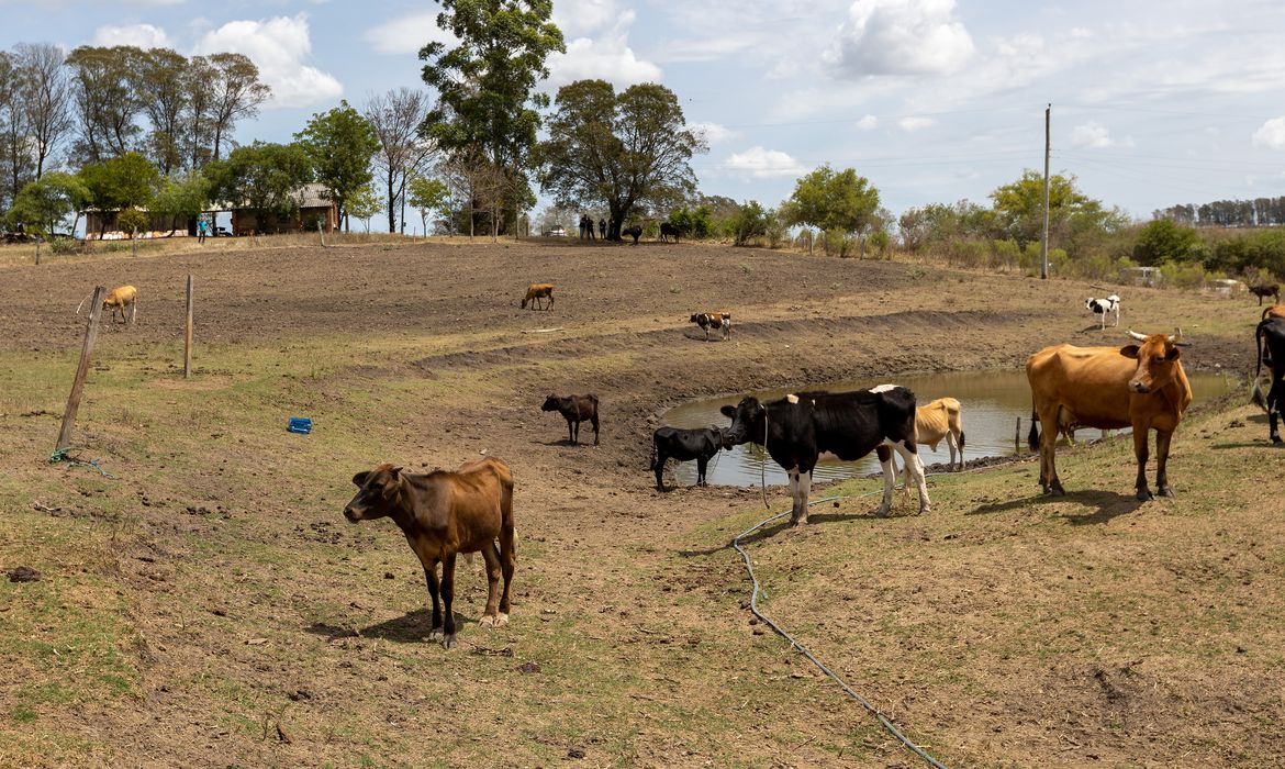 Governo vai liberar recursos para reduzir efeitos da estiagem no Rio Grande do Sul