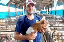 Um novo olhar para uma nova suinocultura: novos gestores valorizam bem-estar animal e gestão de pessoas para o sucesso da atividade