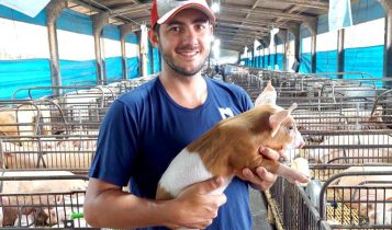 Um novo olhar para uma nova suinocultura: novos gestores valorizam bem-estar animal e gestão de pessoas para o sucesso da atividade