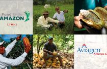 Fundo JBS pela amazônia