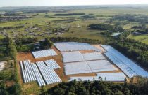 Gigante utiliza silos infláveis como alternativa para armazenar todo o grão