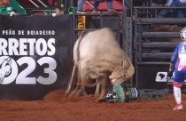 Peão é internado após ser pisoteado por touro em Barretos